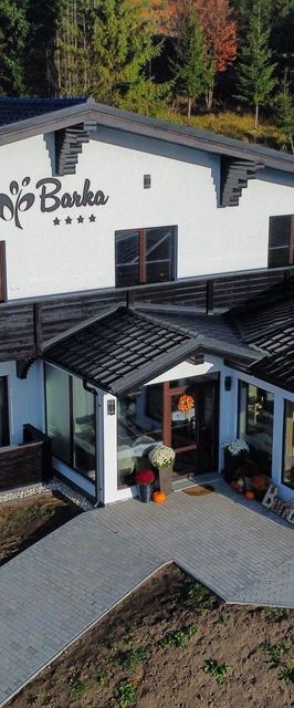 Pensiunea Barka Borsec