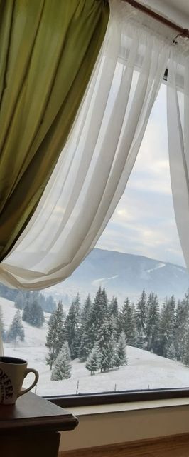 Casa Bucovina Sky View Gura Humorului