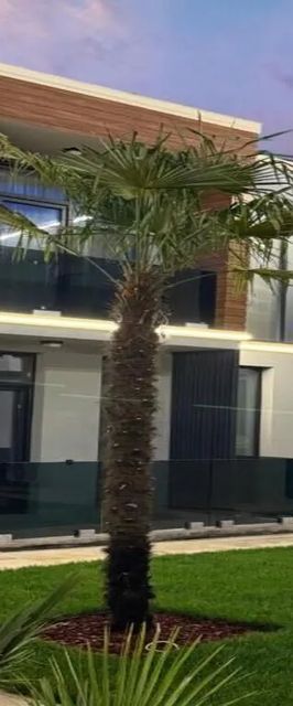 Office Villas Costinești