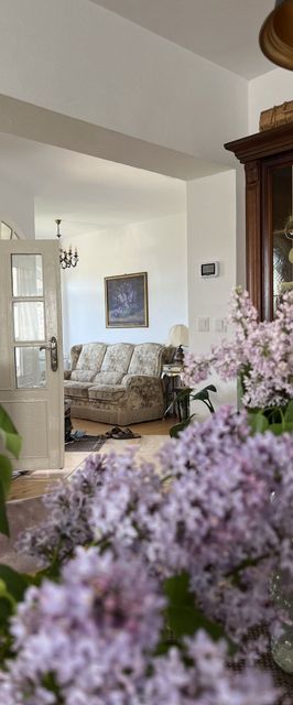 Casa Mystic Twistic Vidra