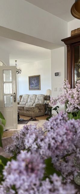 Casa Mystic Twistic Vidra