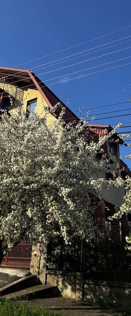  Camere de Inchiriat Spicului Cluj-Napoca