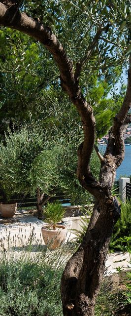 Apartmanok A Tenger Mellett Sparadici, Sibenik - 24420 Šparadići