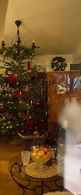 Bohemian Chalet Bușteni