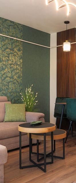 Green Palm Apartment Makó