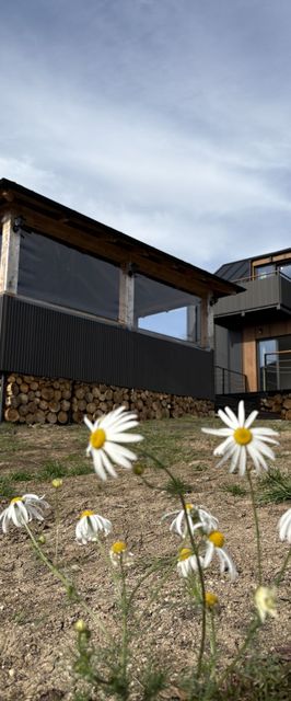 Ele’S Chalet Runcu