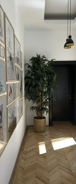 Apartament Nature Inspired Stay in Piata Sfatului Brașov