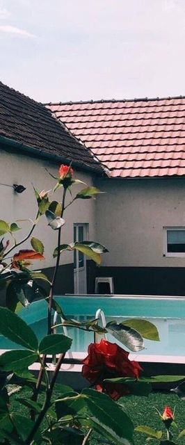 Pensiunea Roma MD Slatina-Timiş