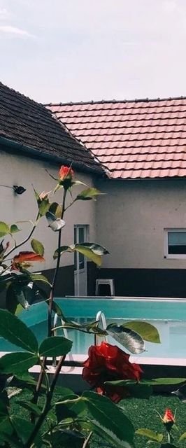 Pensiunea Roma MD Slatina-Timiş