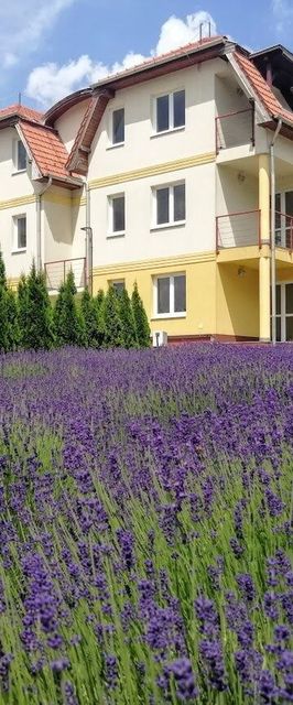 Oxigén Apartman2 Bükkszentkereszt