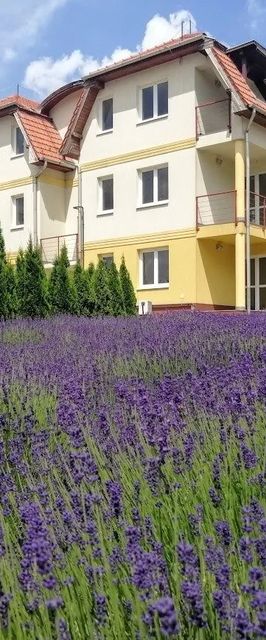 Oxigén Apartman2 Bükkszentkereszt