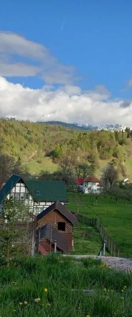 Pensiunea Brian Moieciu de Jos