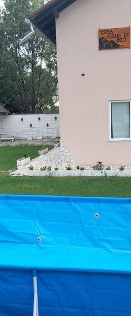 Casa Floare de Colț Stațiunea Climaterică Sâmbăta