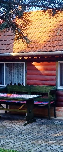 Fenyő Kuckó Bodony