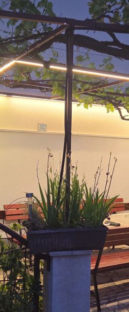 Apartmanok Parkolóhellyel Duce, Omis - 24975 Duće