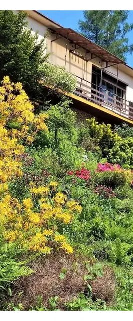 Pokoje Pod Brzózką Wisła