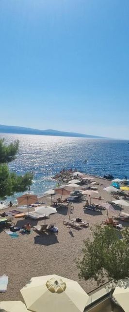 Apartment Lulu Mimice