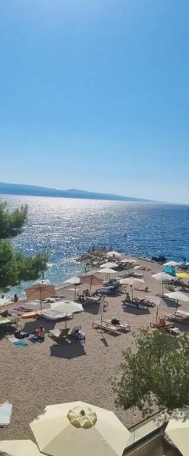 Apartment Lulu Mimice