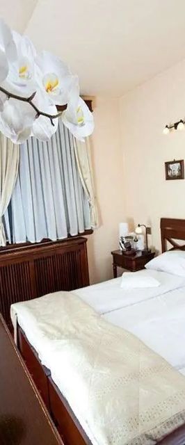 Pensiunea Brasovu Vechi 