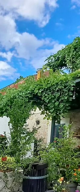 Apartment Unique Heritage Center Park Vodice