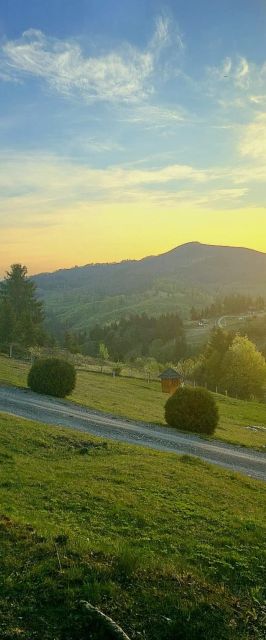 Casa din Șetref Maramureș Săcel