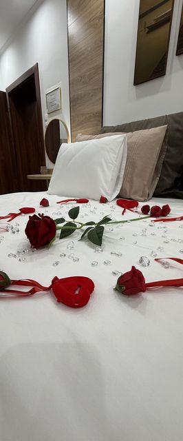 Steersman Apartman Gyula