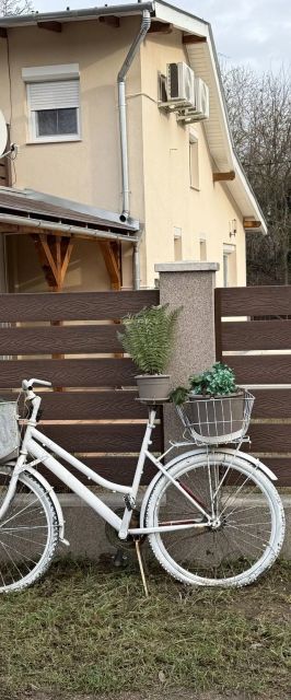 Rsd-Tass Vendègház