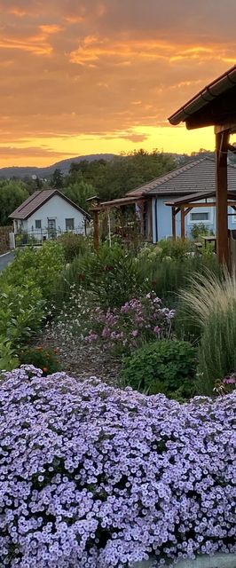 Rizling Vendégház Balatonrendes