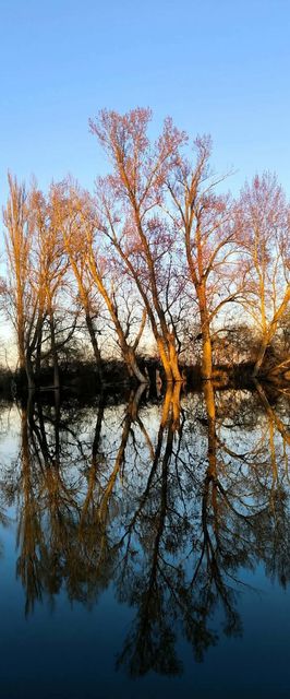 Silver Carp Vendégház Mezőtúr Peresi-holtág