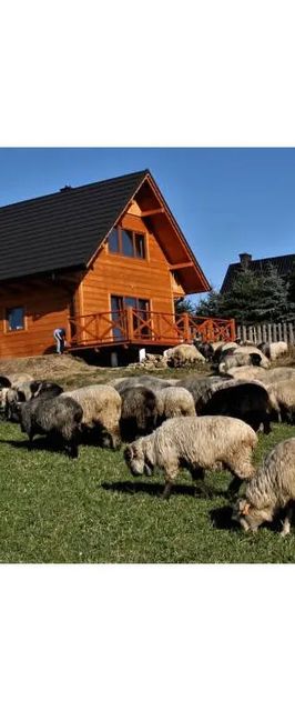 Spokój z Widokiem Chochołów