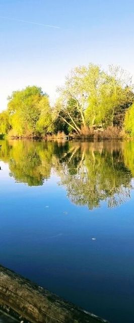 Linetta Vendégház Gyomaendrőd