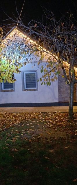 Borka-land Vendégház Deszk