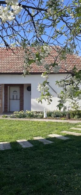 Napos Házikó Poroszló