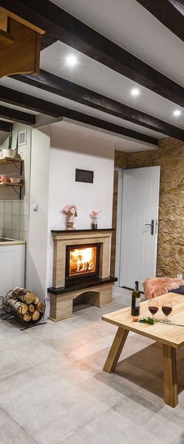 Domki Nad Zaporą w Centrum Soliny Domek Standard Plus