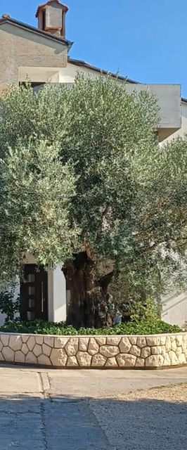 Apartman Palit - CKR940