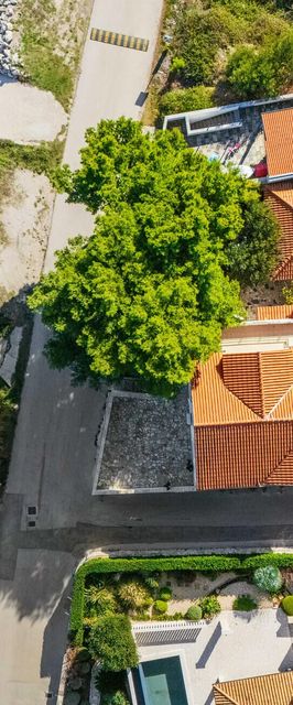 Apartman Betina - CSV416