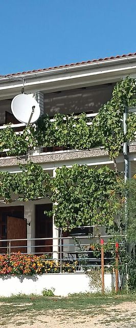 Apartman Maslenica - CDY111