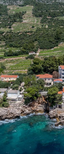 Apartman Gornji Dingač - CDP764