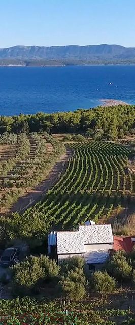 Vendégház Bol - CDB857