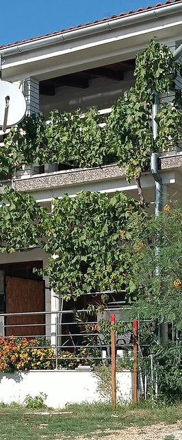 Apartman Maslenica - CDY109