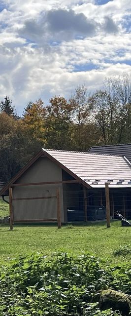 Erdei Nyugalom Vendégház Háromhuta