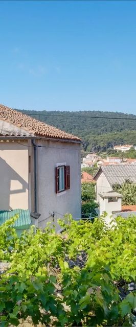 House JONA Veli Losinj