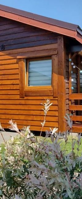 Ośrodek Wczasowy Zielony Gaj Wicie