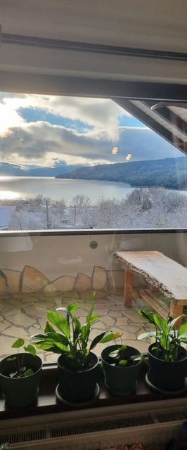 Casa David Chirițeni