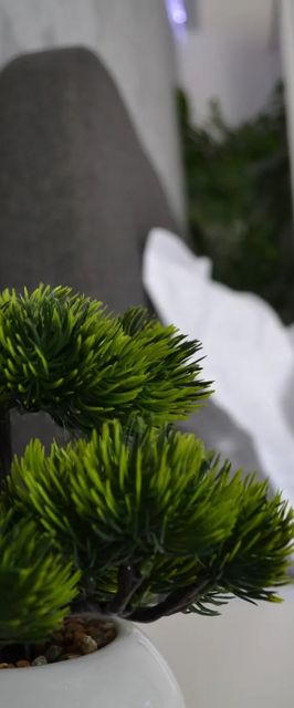 Apartament Kryzz Pitești 