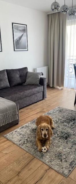 Apartamenty Solek Mielno