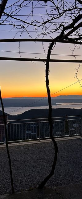 House Martin Grižane