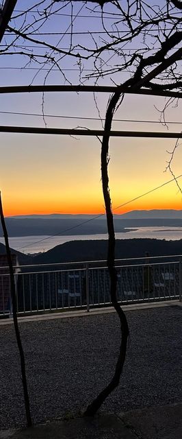 House Martin Grižane