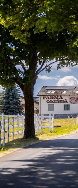 Luxusní apartmán Blonde Farm