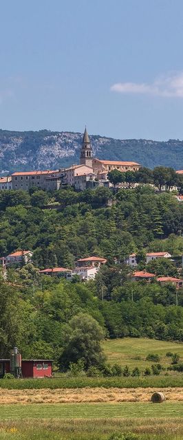 Vendégház Buzet - CIS434